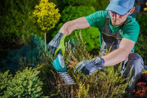 landscaping services Edwards